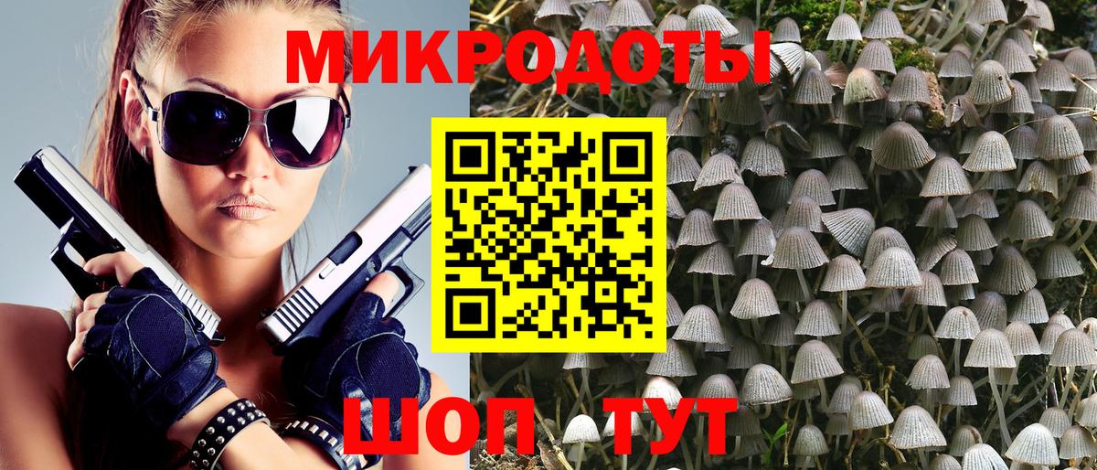 Галлюциногенные грибы Psilocybine cubensis Елец